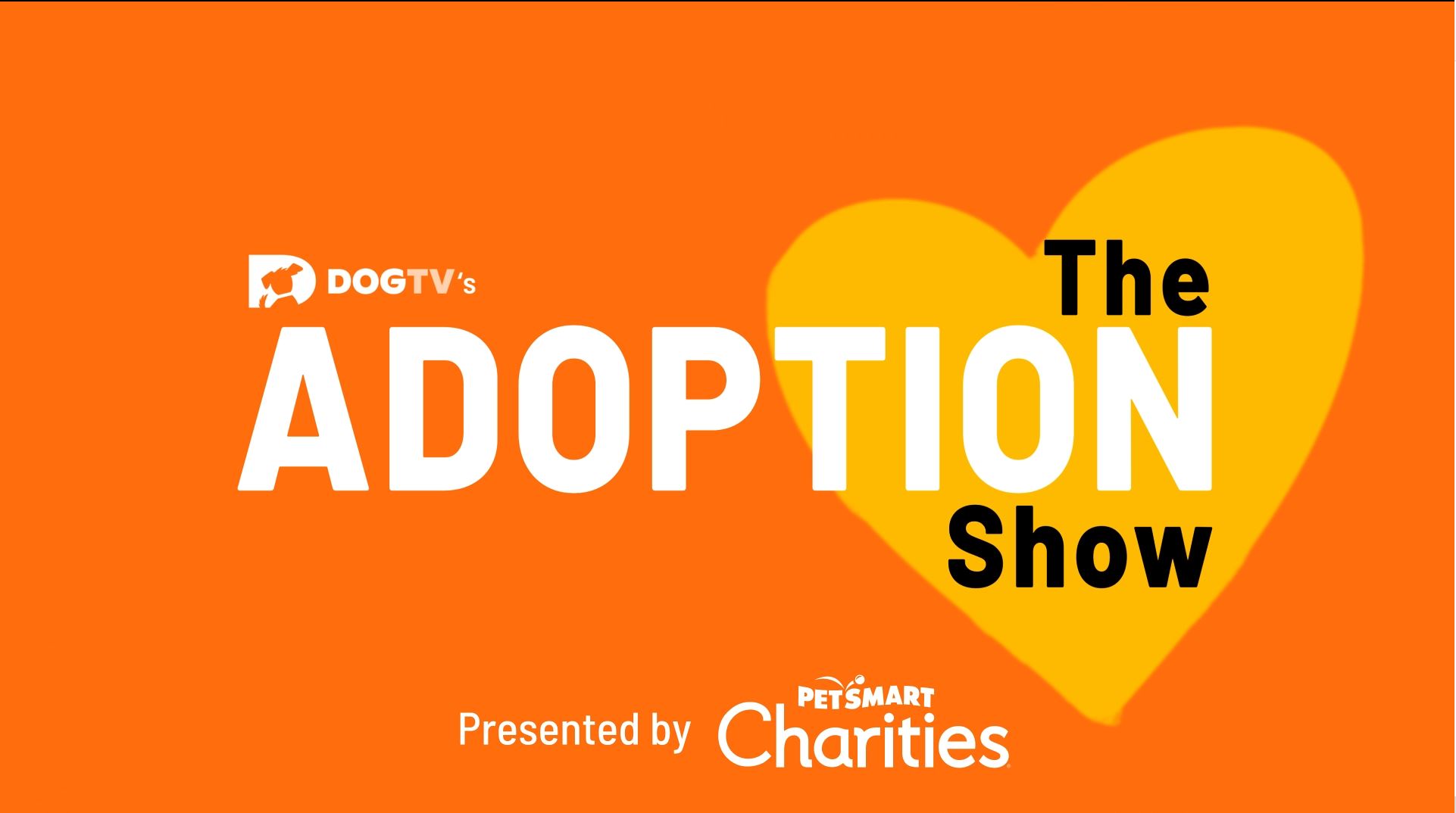 DOGTV's The Adoption Show